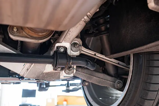 Uvod: Ali lahko majhen člen ugotovi, ali vaše krmiljenje »posluša«?